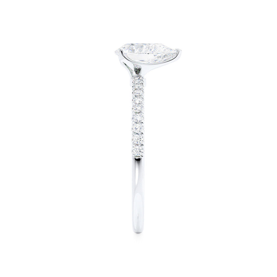 LAW083